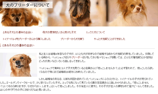 コネクトSEOの被リンクサイトの例